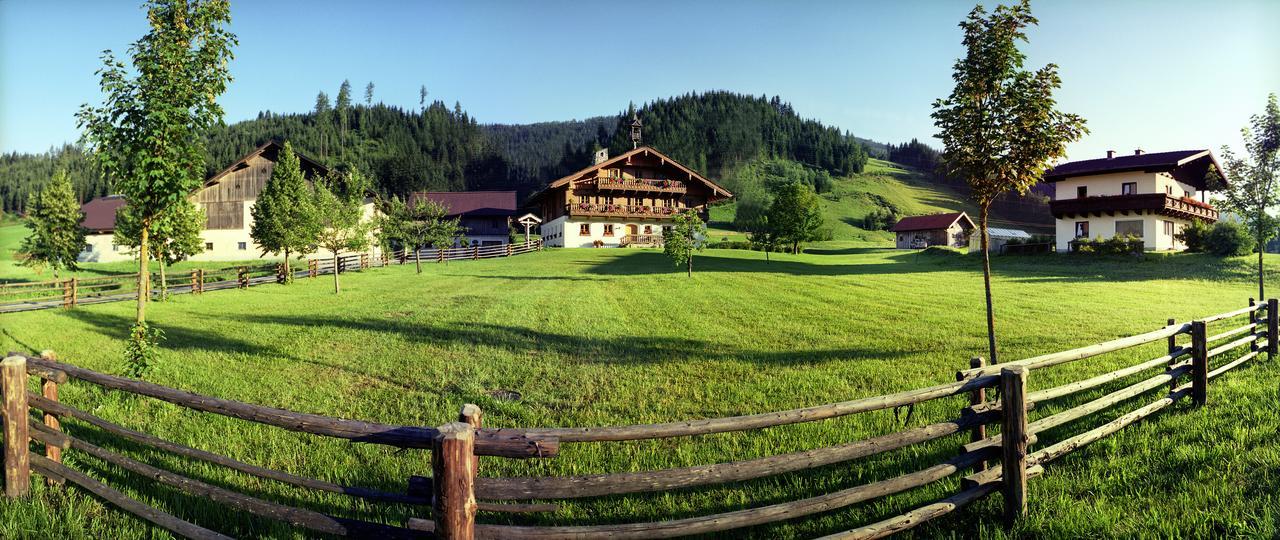 Steinbachgut Villa Flachau Exterior photo